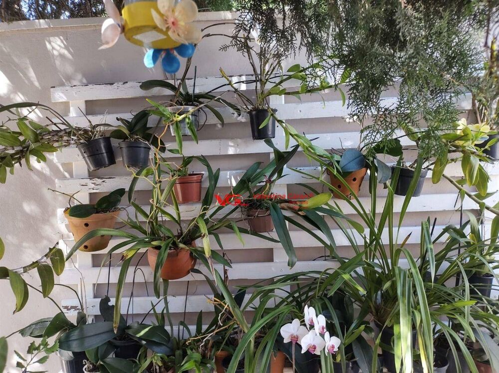 Casa, 4 quartos, 225 m² - Foto 4