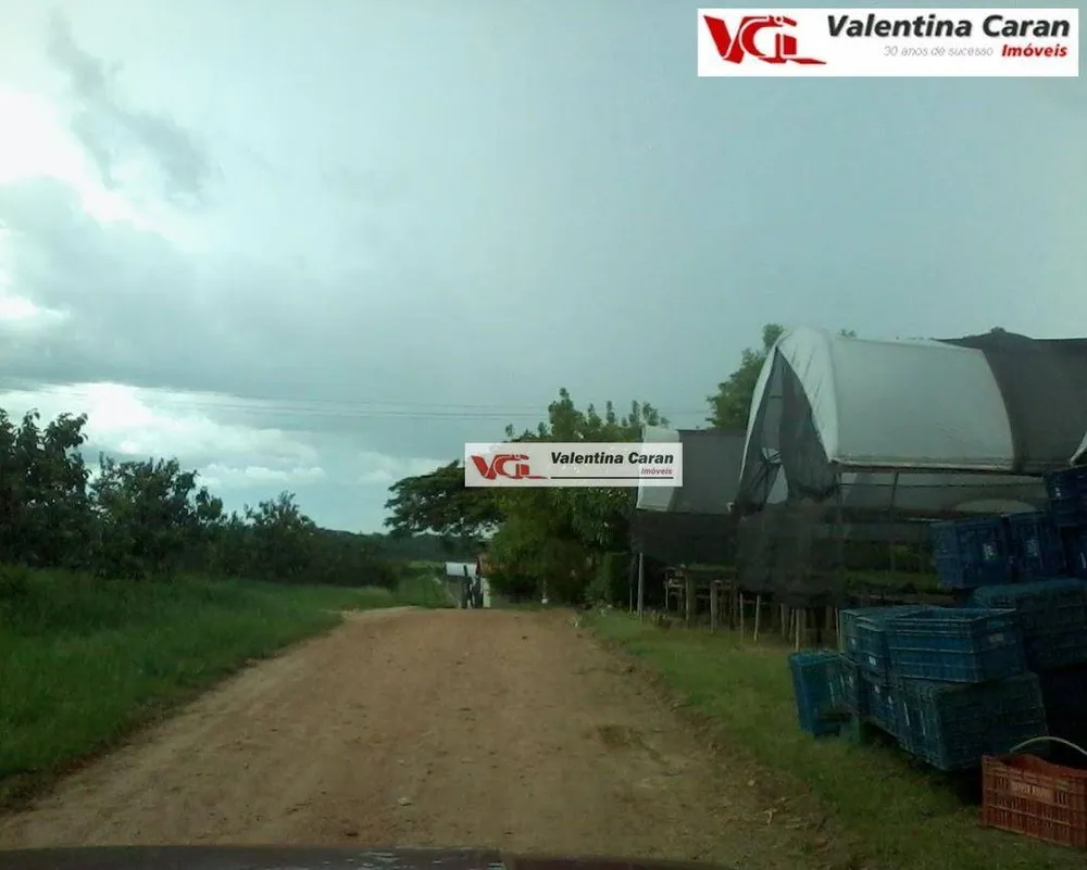 Sítio, 1 quarto, 6 hectares - Foto 4