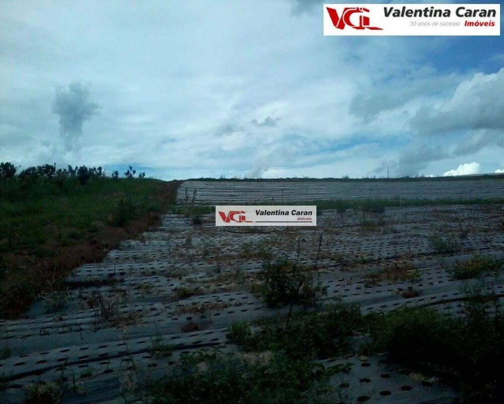 Sítio, 1 quarto, 6 hectares - Foto 4