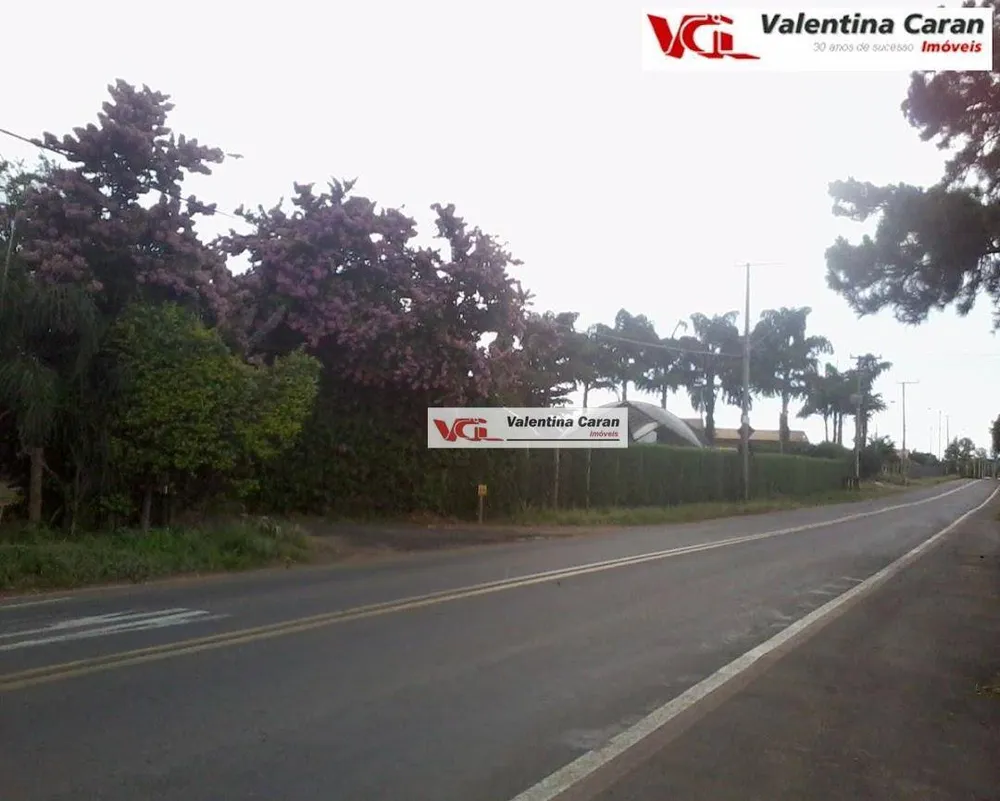 Sítio, 1 quarto, 6 hectares - Foto 2