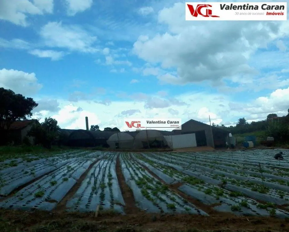 Sítio, 1 quarto, 6 hectares - Foto 1