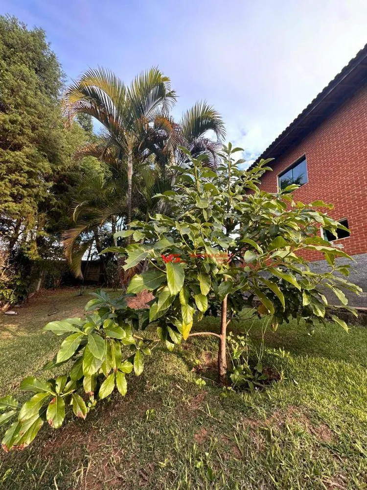 Chácara, 3 quartos, 6800 m² - Foto 7