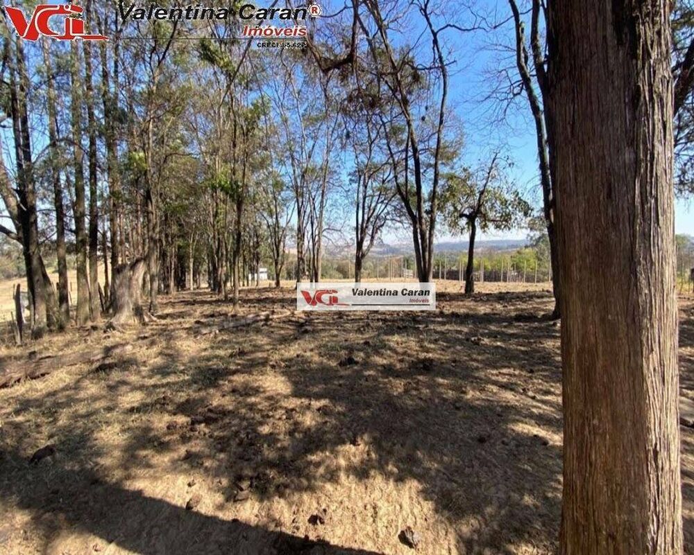 Terreno, 11 hectares - Foto 4