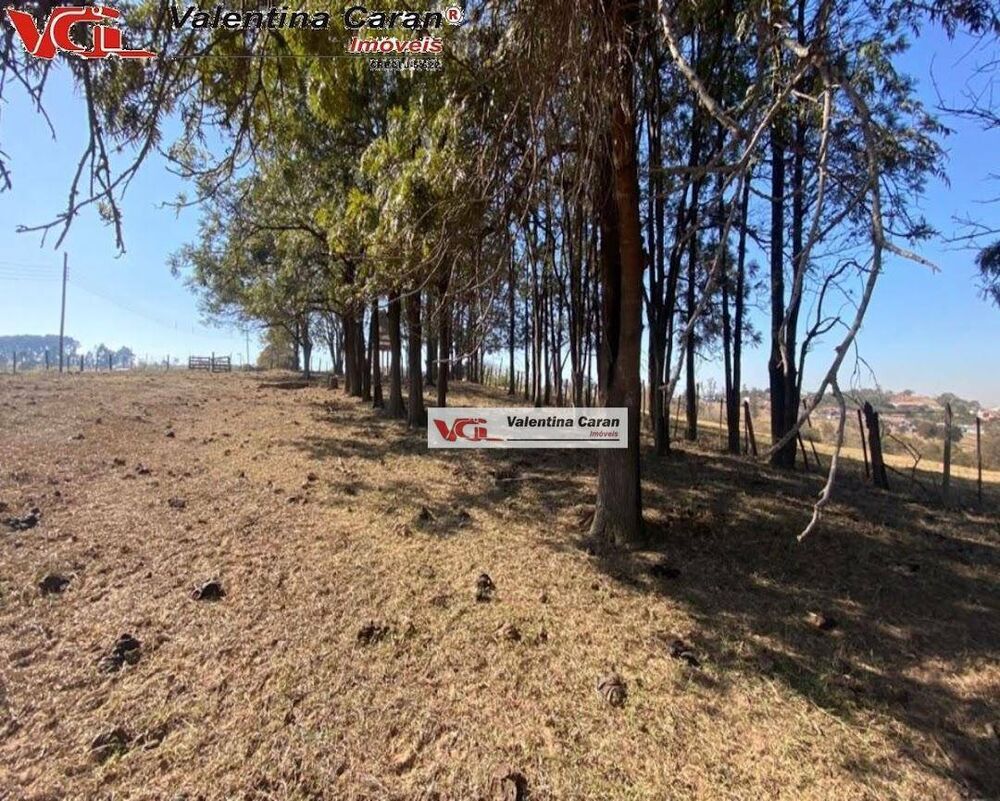 Terreno, 11 hectares - Foto 3