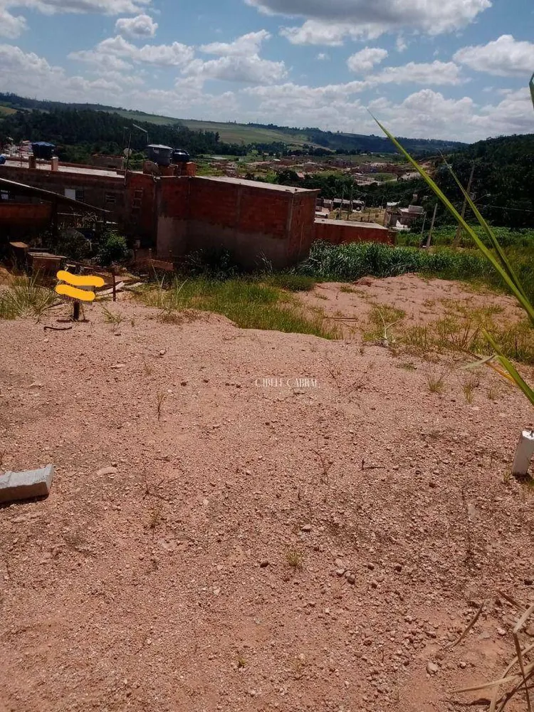 Terreno, 250 m² - Foto 1