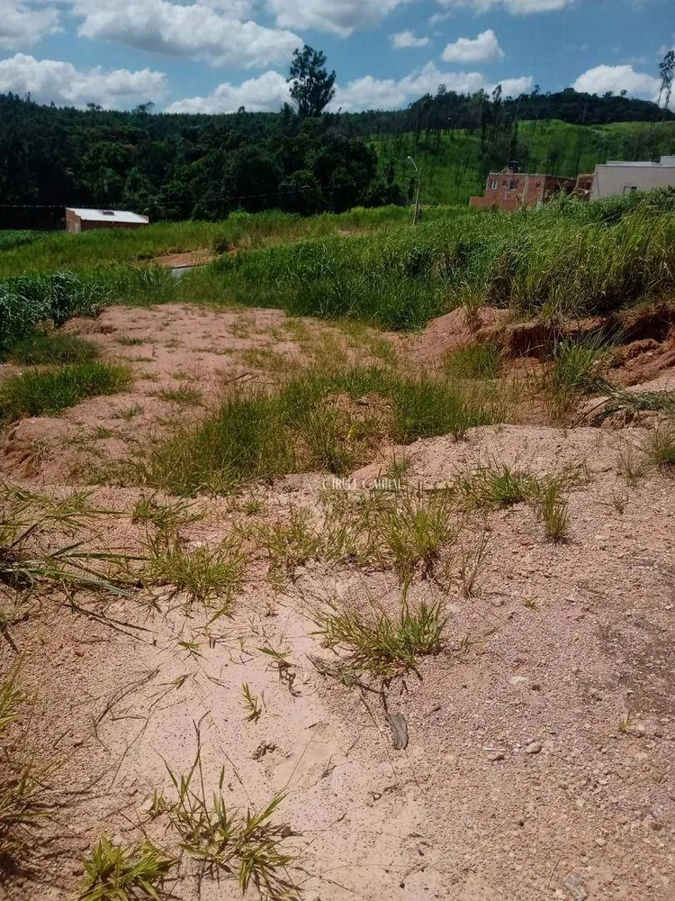 Terreno, 250 m² - Foto 4