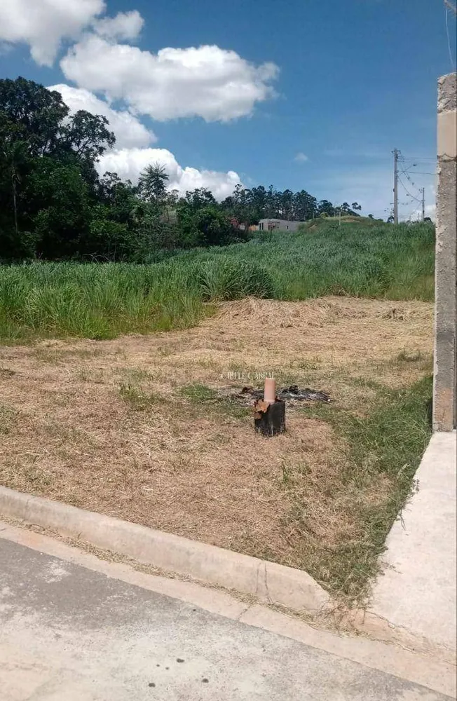 Terreno, 250 m² - Foto 1