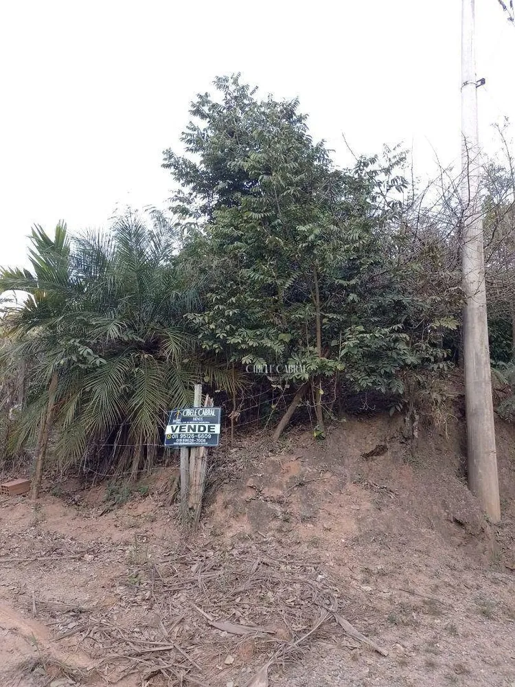 Terreno, 2 hectares - Foto 1