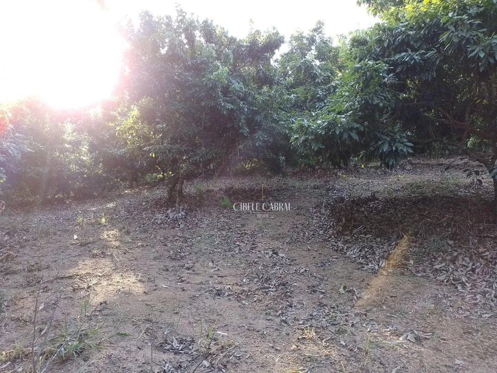 Terreno, 2 hectares - Foto 4