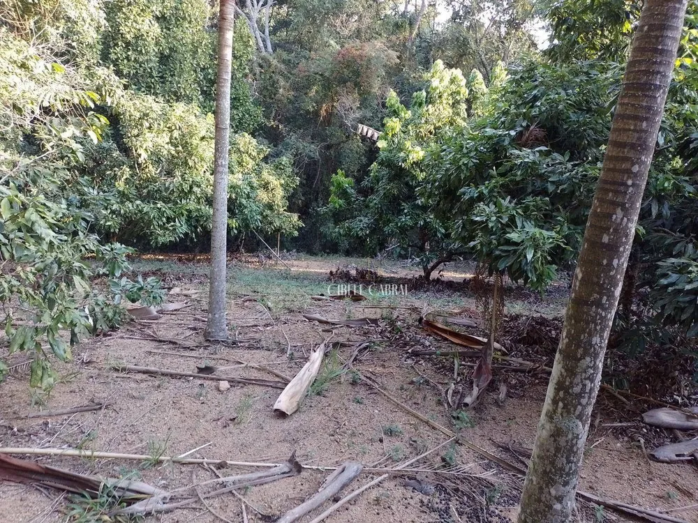 Terreno, 2 hectares - Foto 3