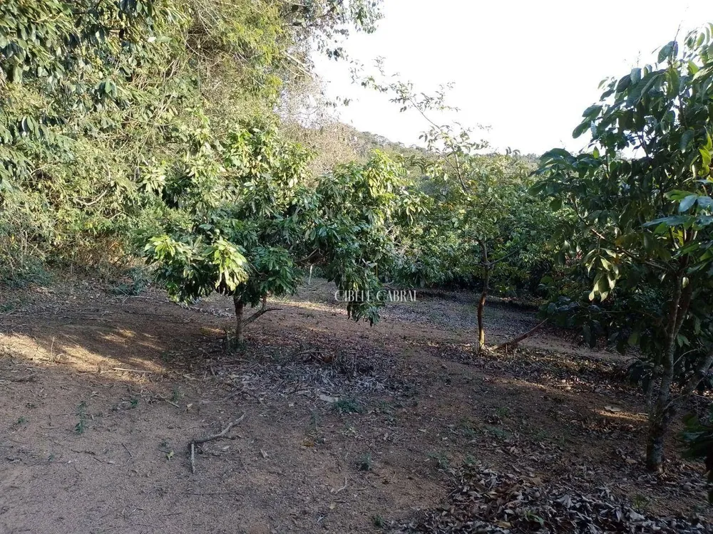 Terreno, 2 hectares - Foto 2