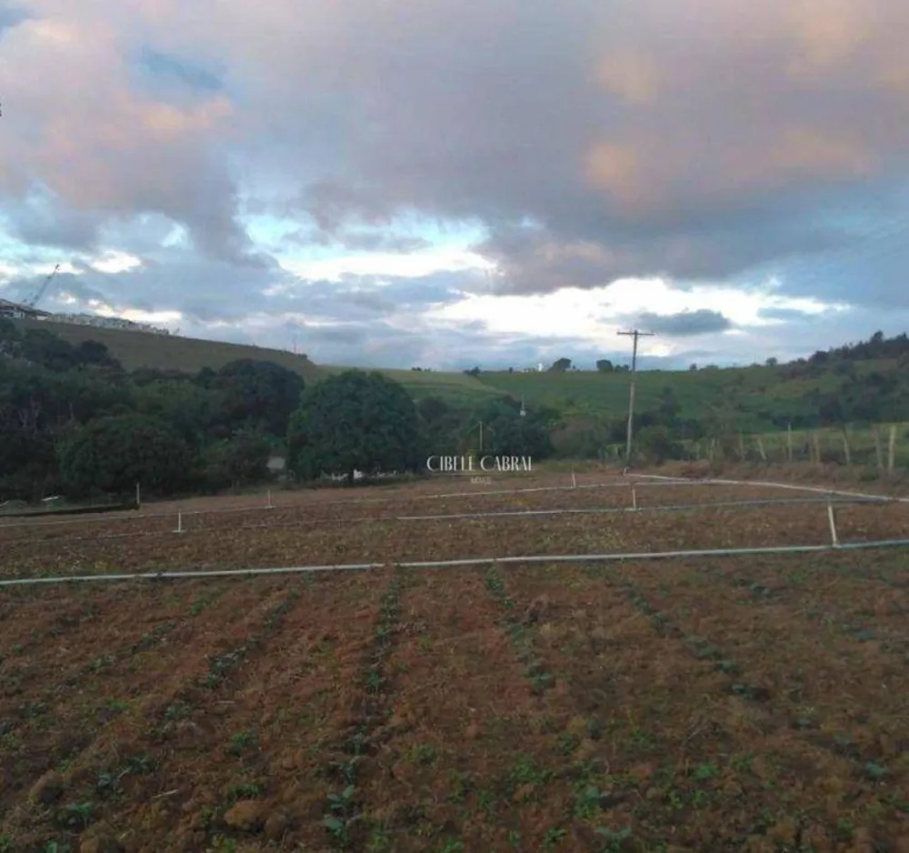 Terreno, 3 hectares - Foto 4