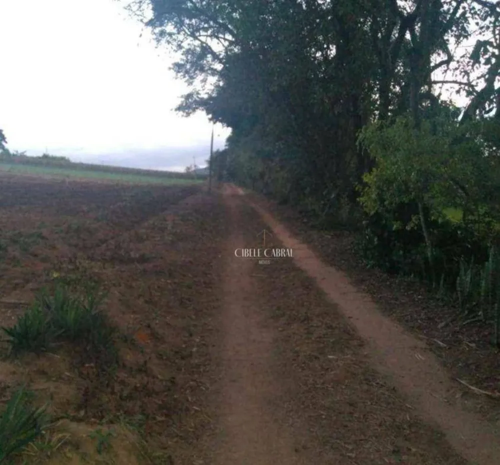 Terreno, 3 hectares - Foto 3