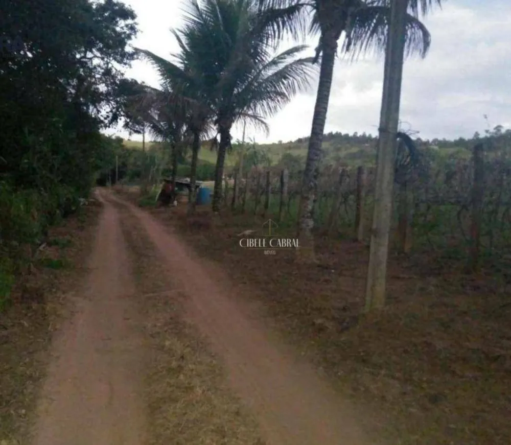 Terreno, 3 hectares - Foto 2