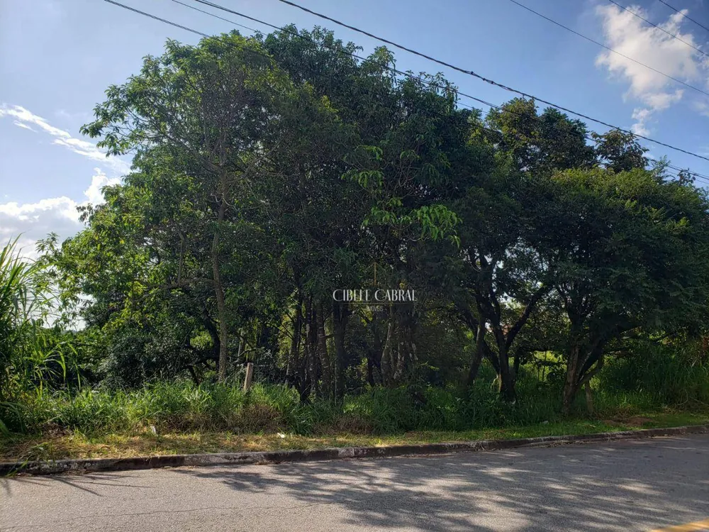 Terreno, 1000 m² - Foto 4