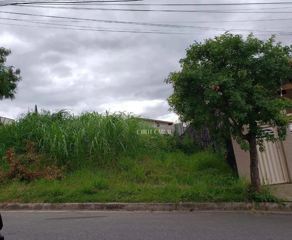 Terreno, 250 m² - Foto 1