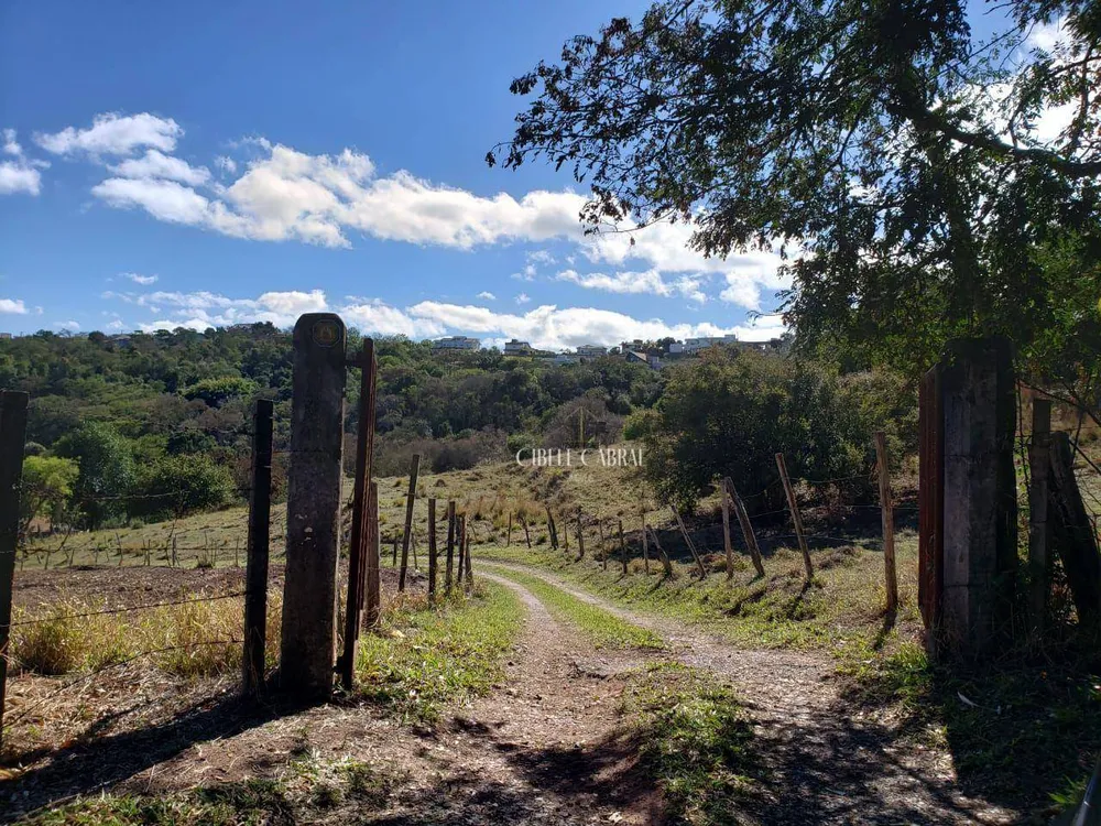 Terreno, 3 hectares - Foto 2