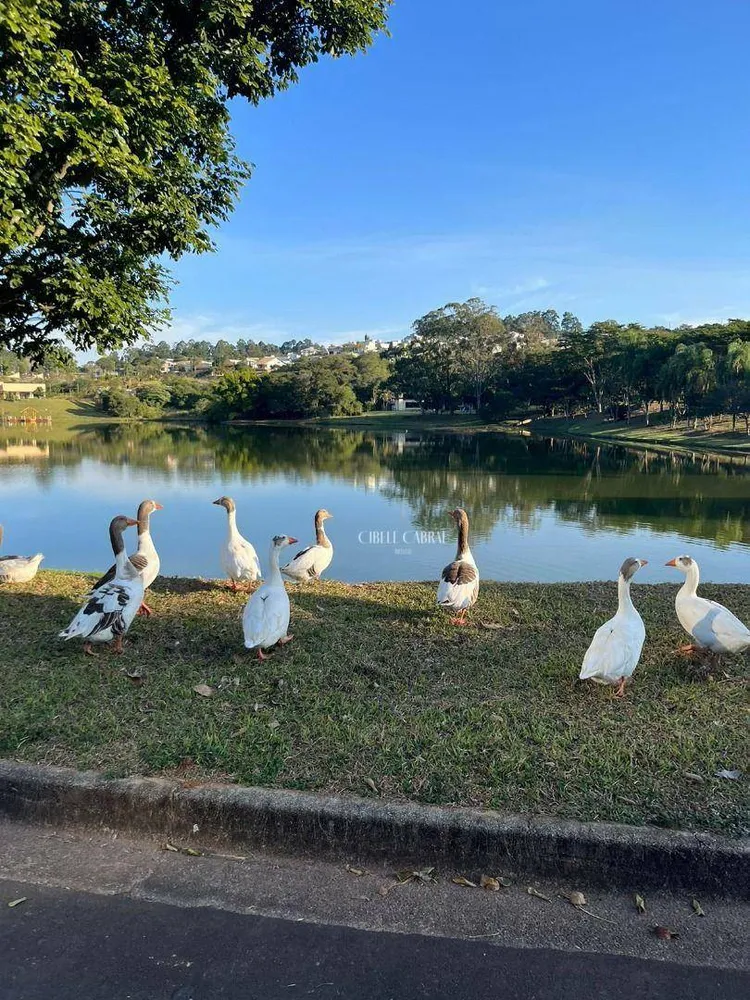 Loteamento e Condomínio, 780 m² - Foto 3