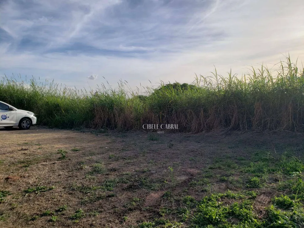 Terreno, 250 m² - Foto 1