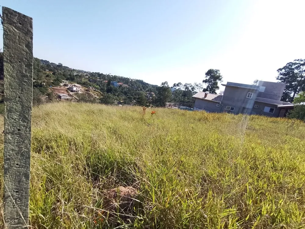 Terreno, 2234 m² - Foto 4