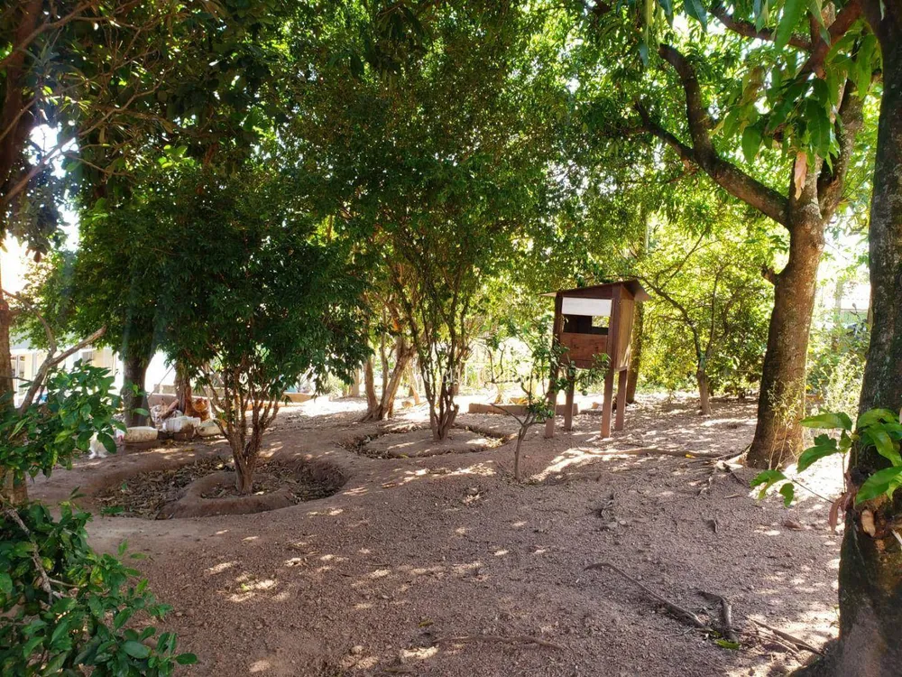 Terreno, 376 m² - Foto 4