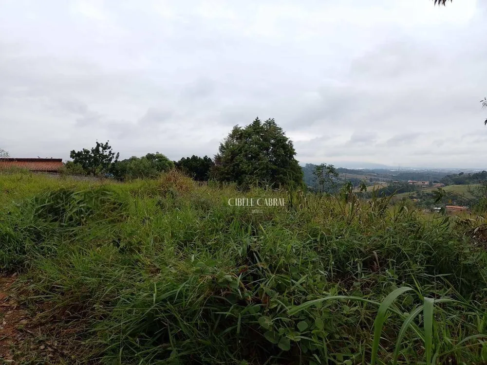 Terreno, 5224 m² - Foto 4