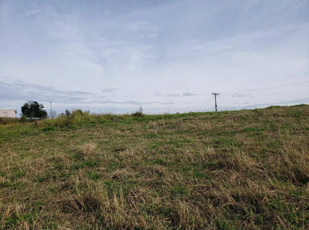 Terreno, 6 hectares - Foto 3
