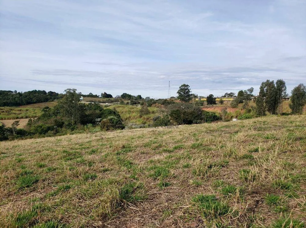 Terreno, 6 hectares - Foto 4