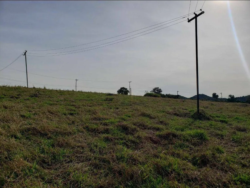 Terreno, 6 hectares - Foto 2
