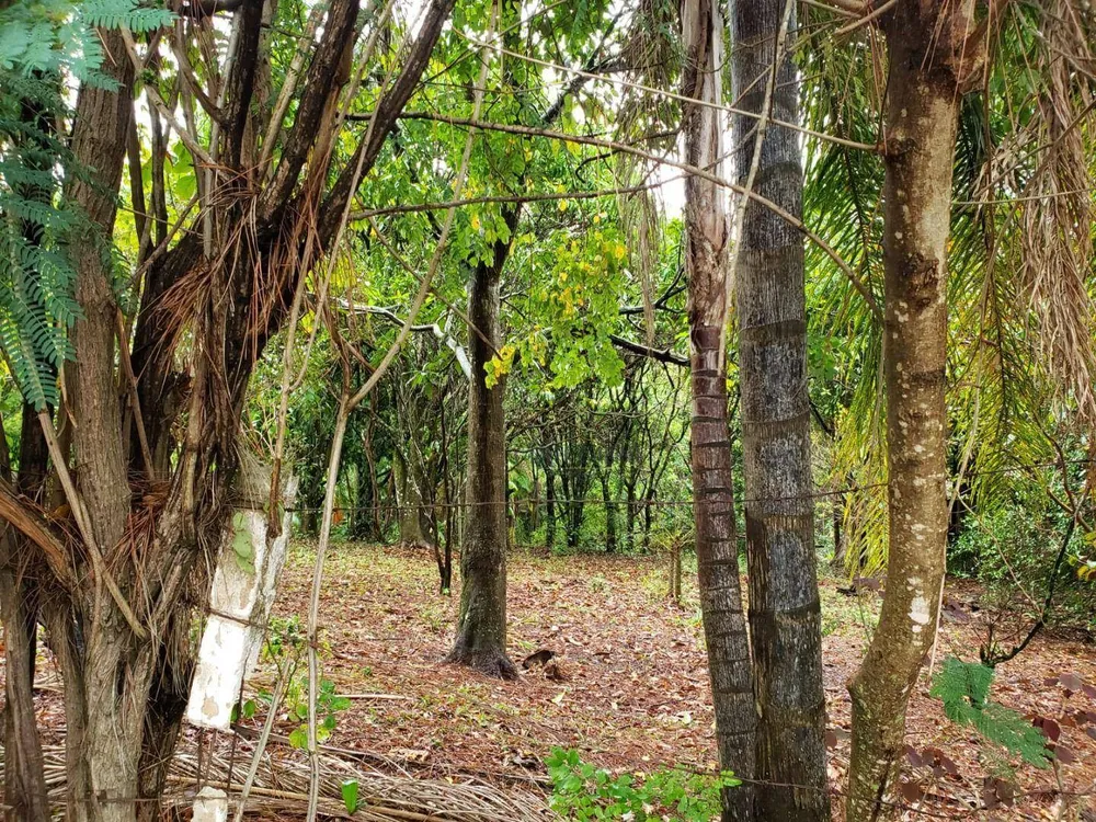 Terreno, 1720 m² - Foto 2