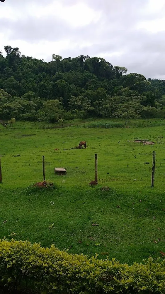 Sítio, 7 hectares - Foto 1
