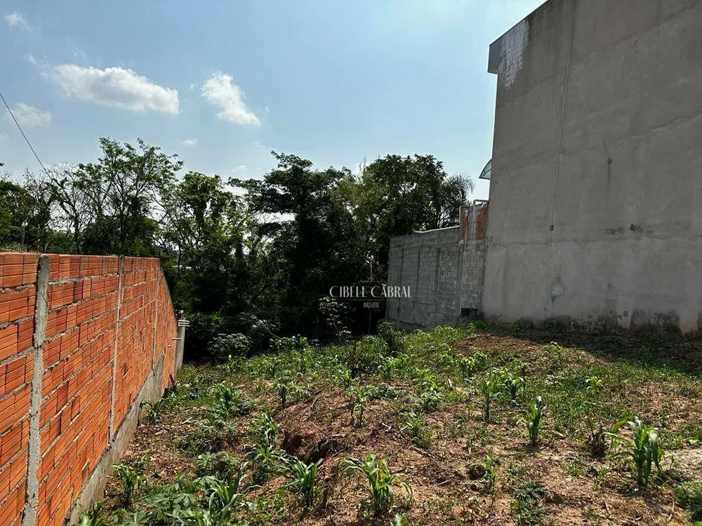 Terreno, 250 m² - Foto 3