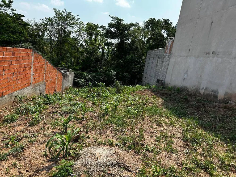 Terreno, 250 m² - Foto 1