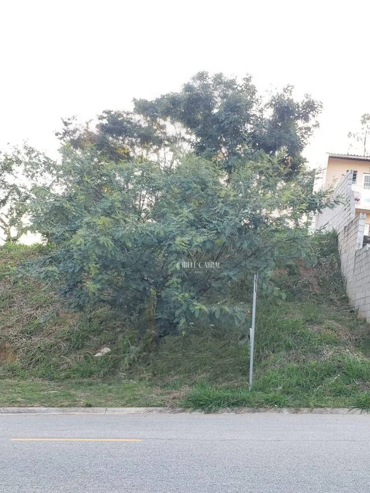 Terreno, 250 m² - Foto 3