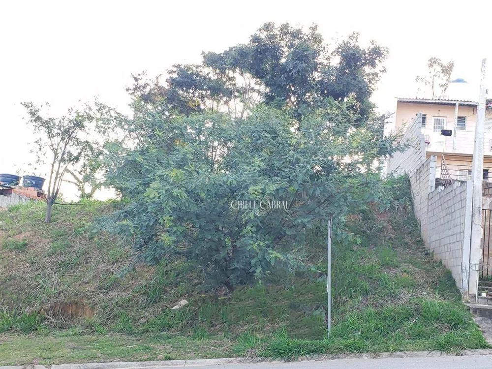 Terreno, 250 m² - Foto 1