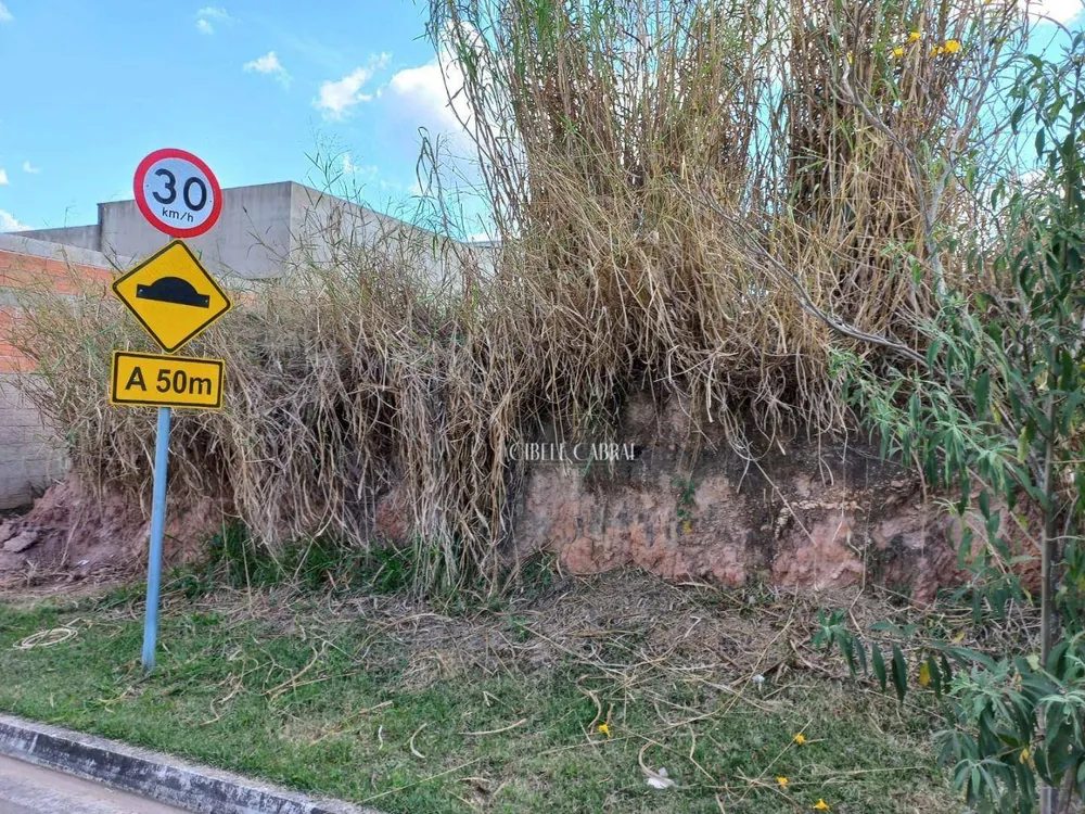 Terreno, 250 m² - Foto 3