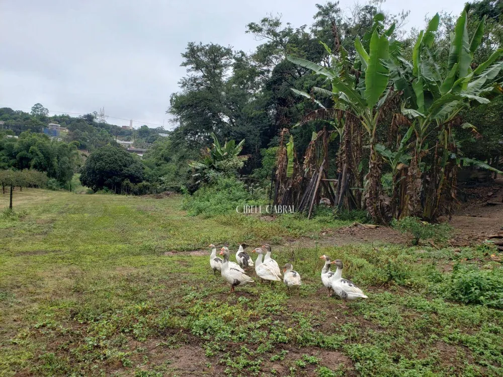Terreno, 2 hectares - Foto 3