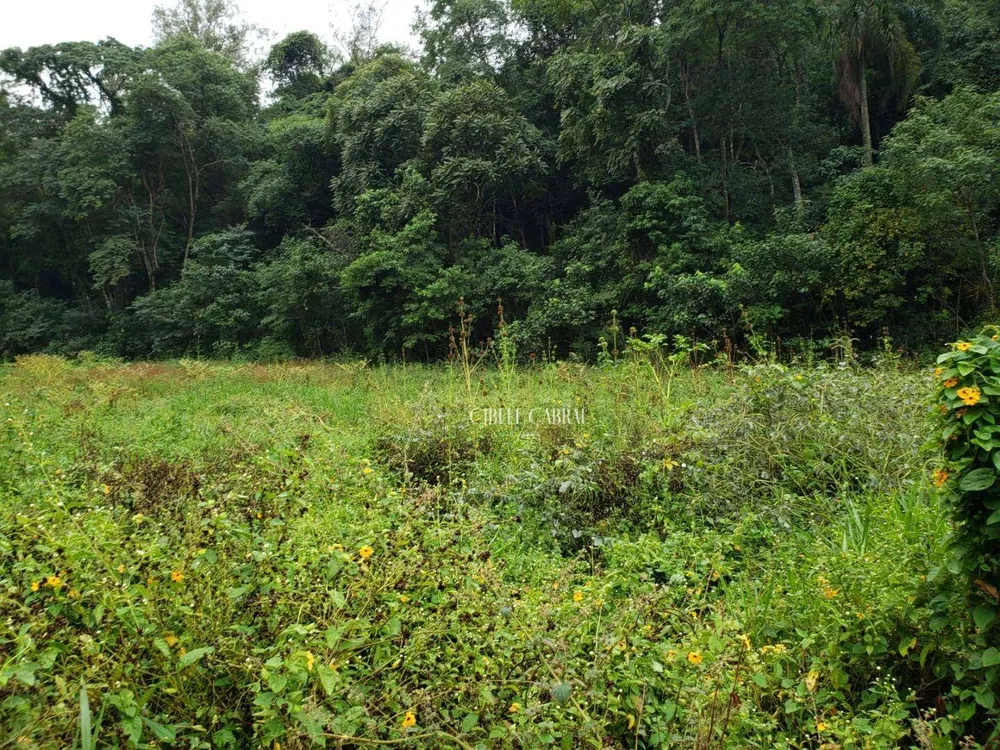 Terreno, 2 hectares - Foto 4