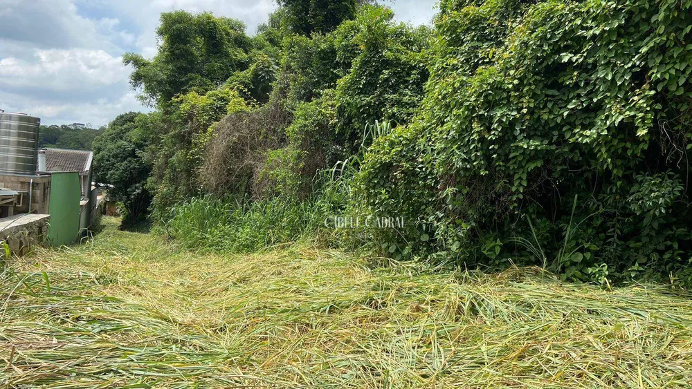 Terreno, 5000 m² - Foto 1