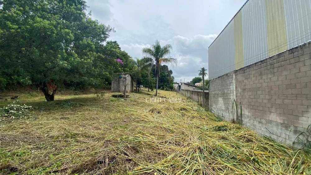 Terreno, 5000 m² - Foto 3