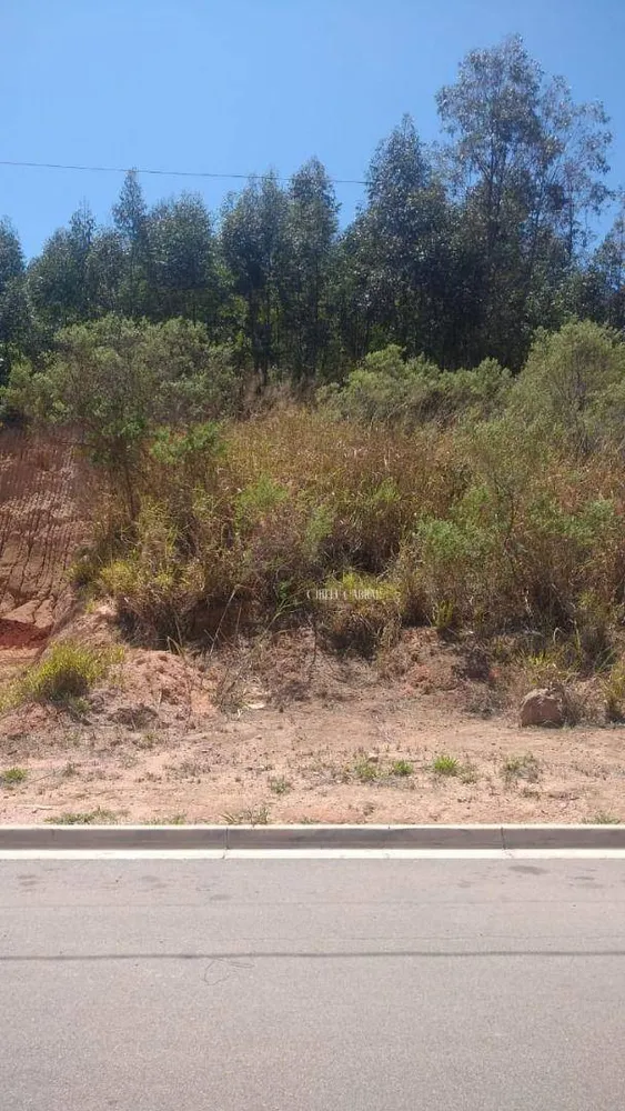 Terreno, 250 m² - Foto 3