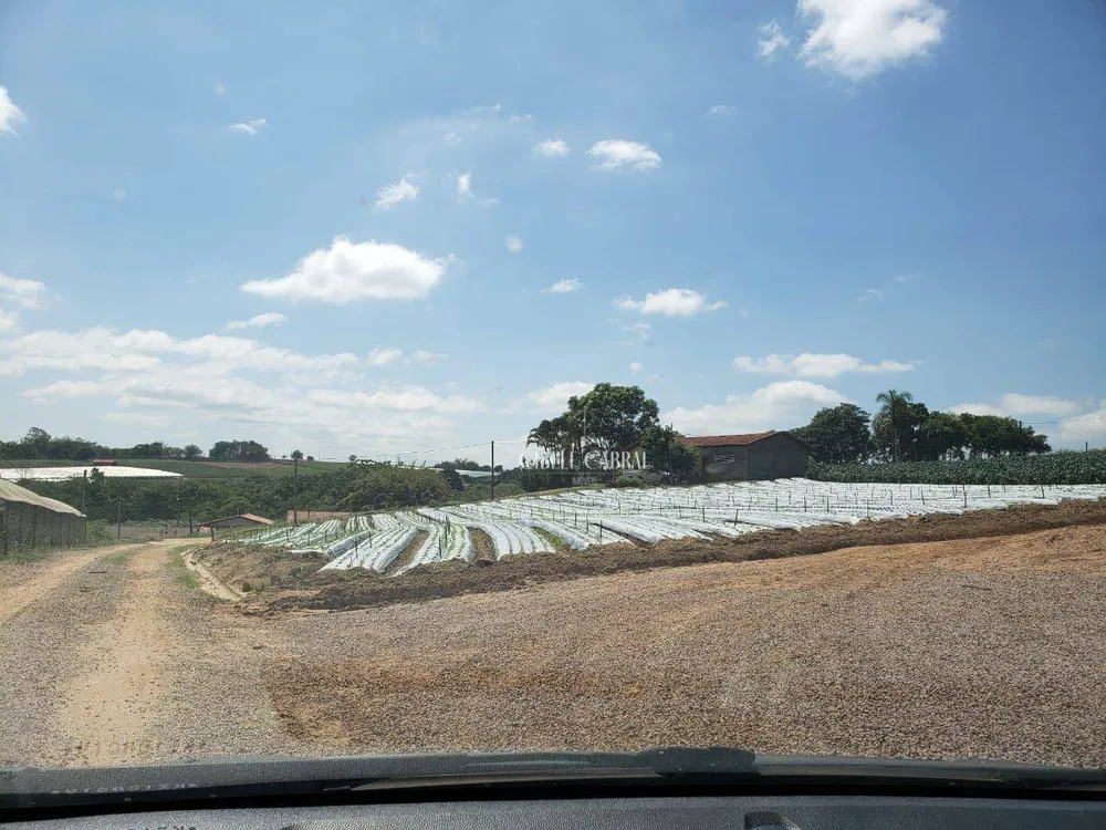 Terreno, 8 hectares - Foto 2