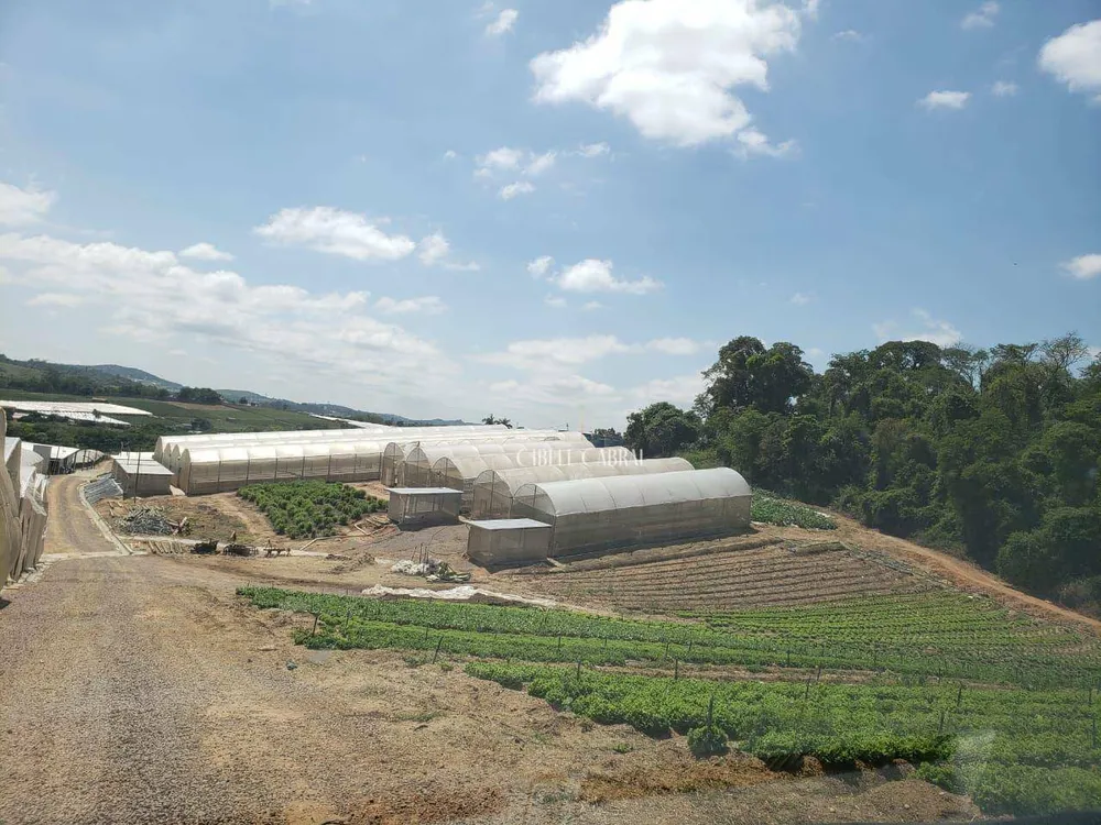 Terreno, 8 hectares - Foto 3