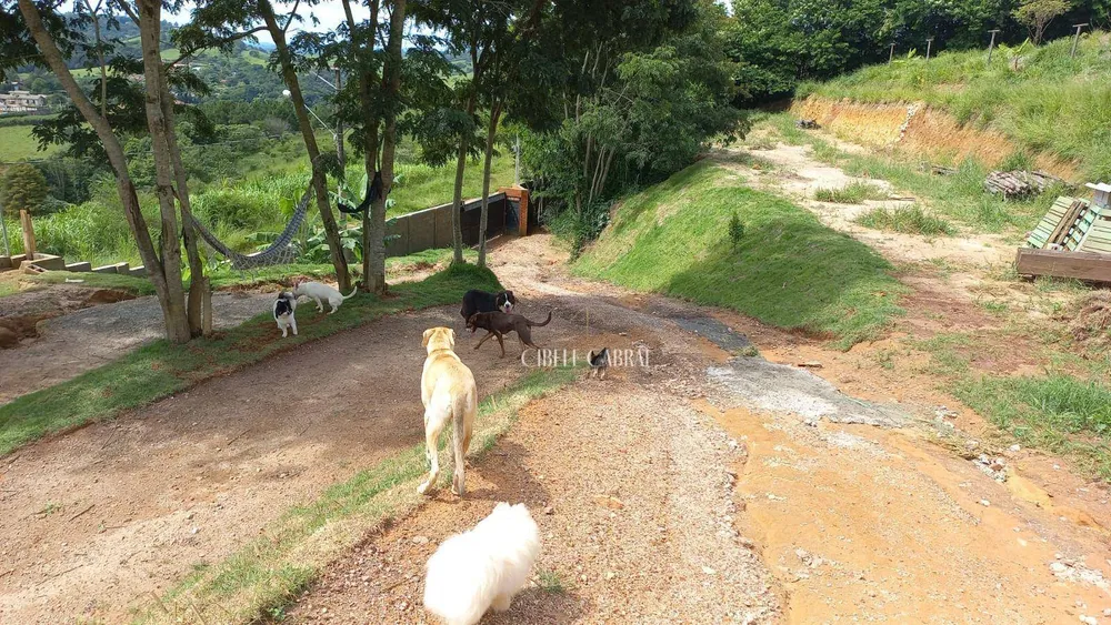 Chácara, 4 quartos, 5064 m² - Foto 2