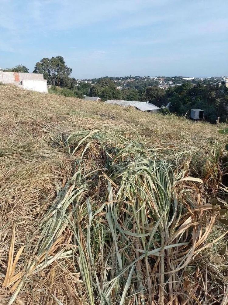 Terreno, 500 m² - Foto 4
