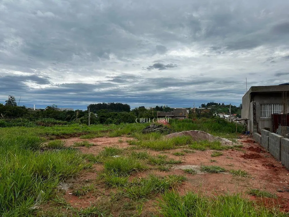 Terreno, 250 m² - Foto 3