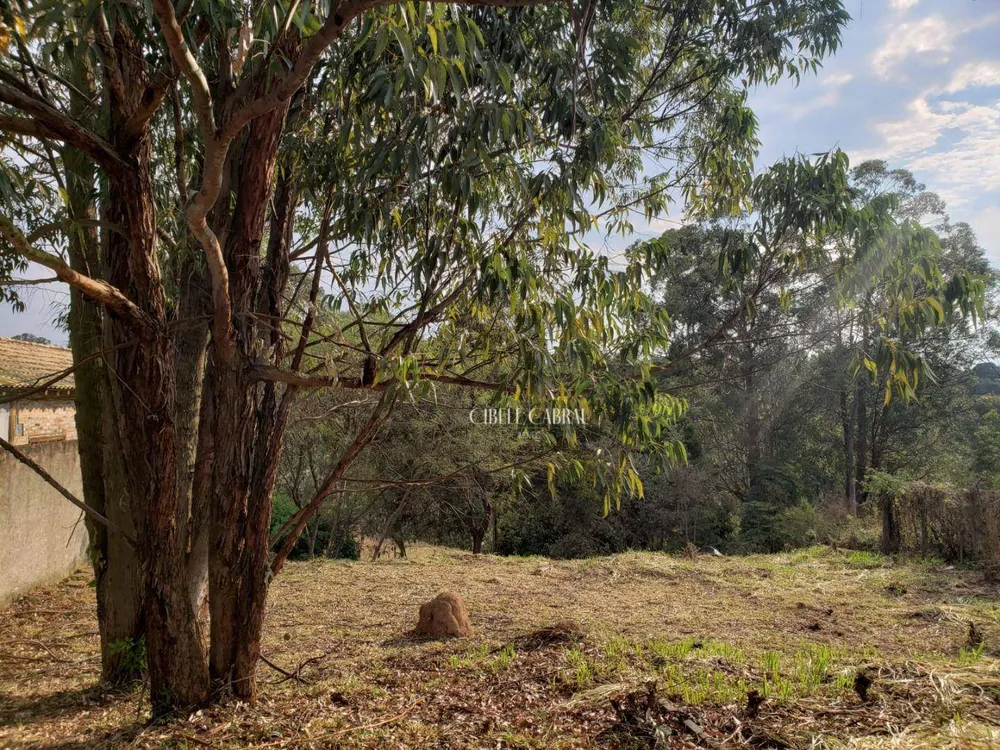 Terreno, 2015 m² - Foto 4
