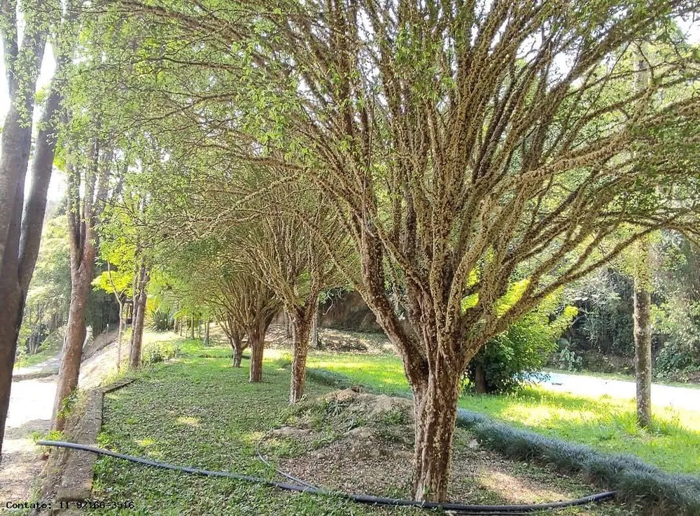 Terreno, 2 hectares - Foto 10