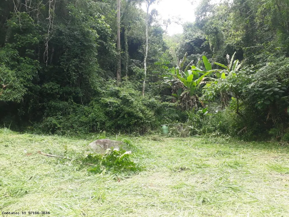 Terreno, 2 hectares - Foto 6