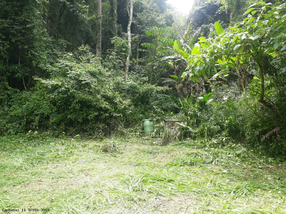 Terreno, 2 hectares - Foto 8